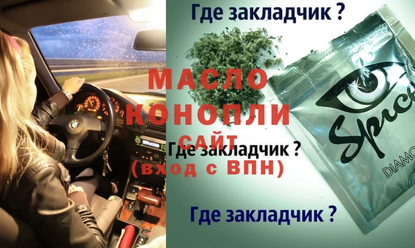 индика Болотное