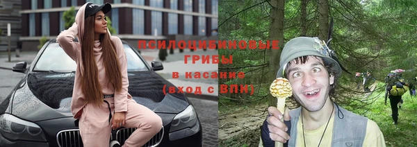 гашик Михайловка