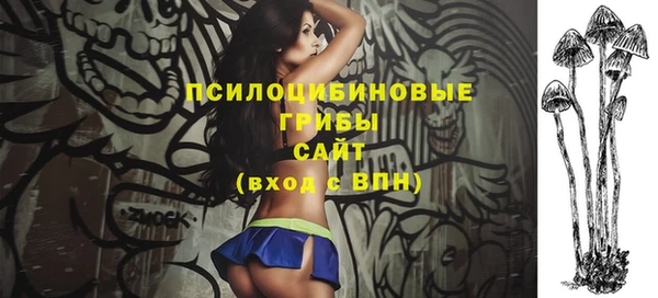 бутират Горнозаводск