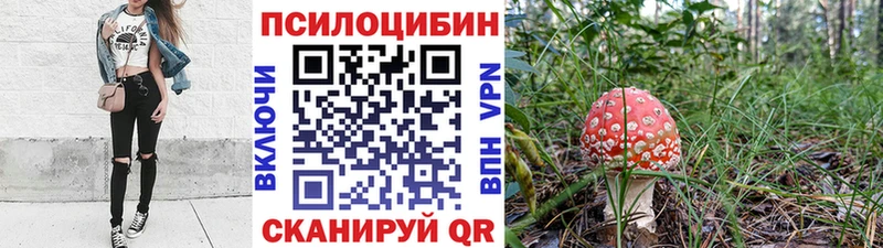 Псилоцибиновые грибы Psilocybe  Данилов 